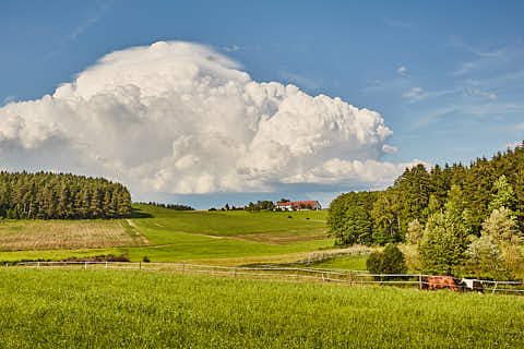 Gemeinde Reischach Landkreis Altötting Weingarten Wolke (Dirschl Johann) Deutschland AÖ